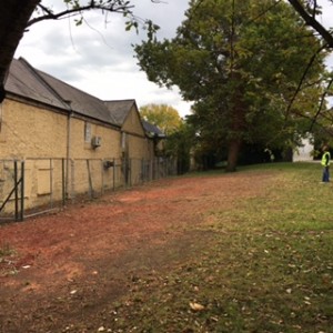 Photo of area where 111 Yew Trees stood