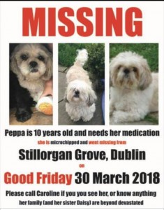 missing_dog_peppa