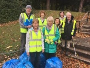 Mount Merrion Clean Up Day