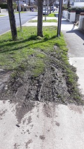 Damage caused to Grass Verges