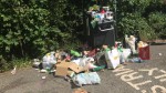 deerpark_bins_img-20200531