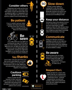 Sharing the Road Safely
