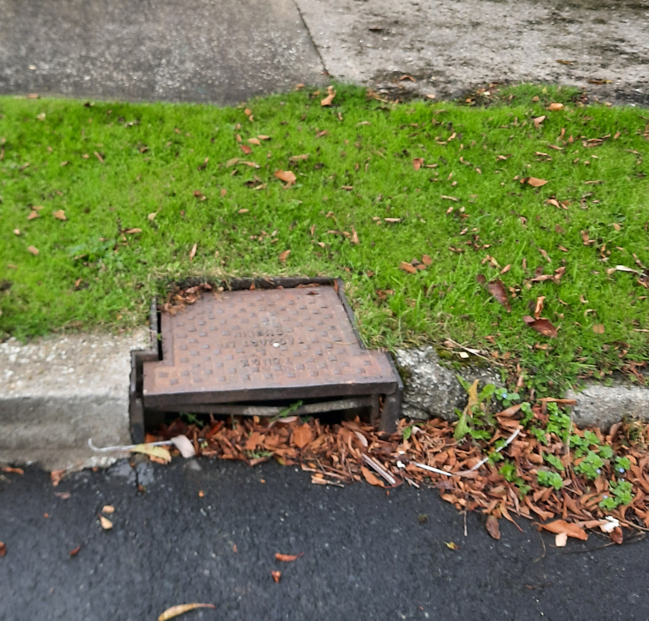 rain-gullies-surface-water-mount-merrion-residents-association