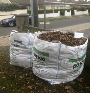 Leaves collected - Redesdale Road carpark