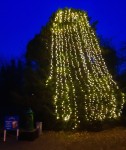 Deerpark Christmas Lights beside Santa Postbox