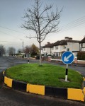 Freshly painted traffic calming island on Sycamore Road Dec-2020