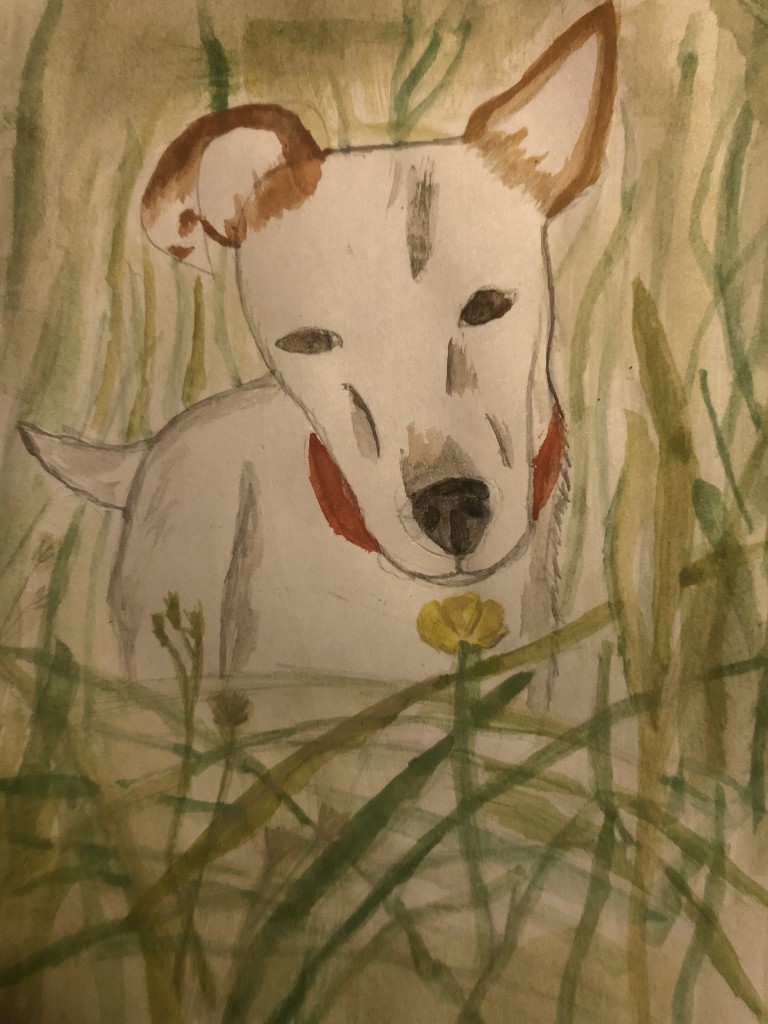 "Dog In The Grass" by Maria Daly (age 14)