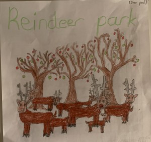'Reindeer Park' by Spencer Jordan (age 11)