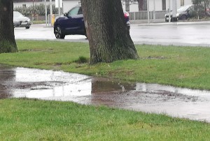 Surface Water Flooding at pedestrian path on South Avenue/ Kilmacud Road junction
